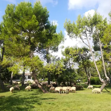 Torrevecchia Gospodarstwo agroturystyczne San Pancrazio Salentino