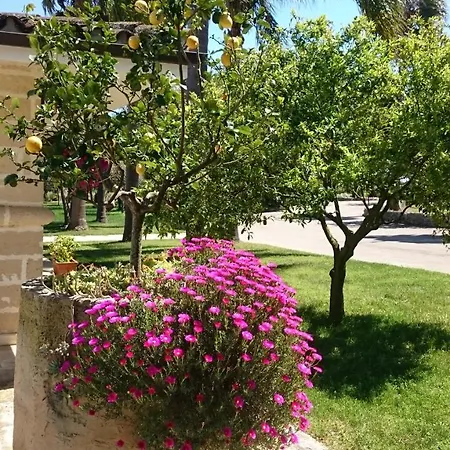 Torrevecchia Farm stay *