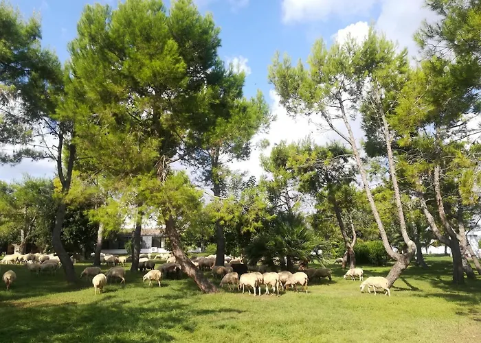 Torrevecchia Gospodarstwo agroturystyczne San Pancrazio Salentino
