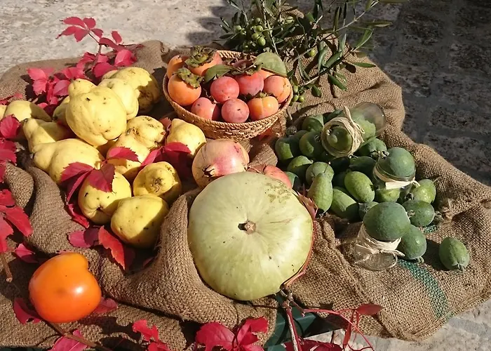 Gospodarstwo agroturystyczne Torrevecchia San Pancrazio Salentino