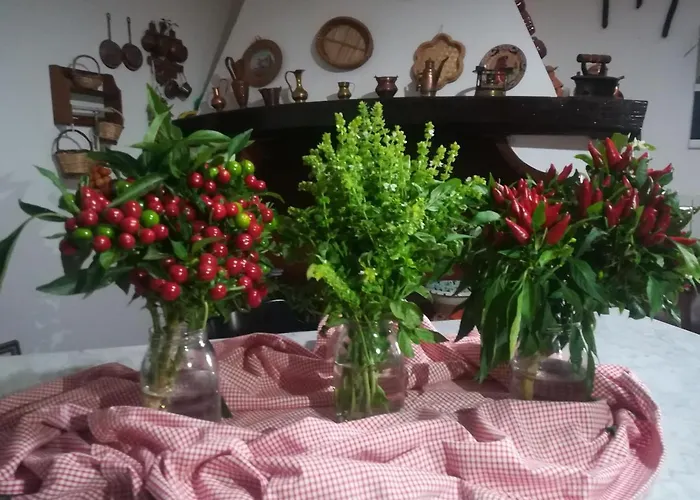 Gospodarstwo agroturystyczne Torrevecchia San Pancrazio Salentino