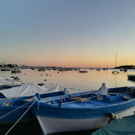 Torrevecchia مزرعة للإقامة سان بانكرازيو سالنتينو